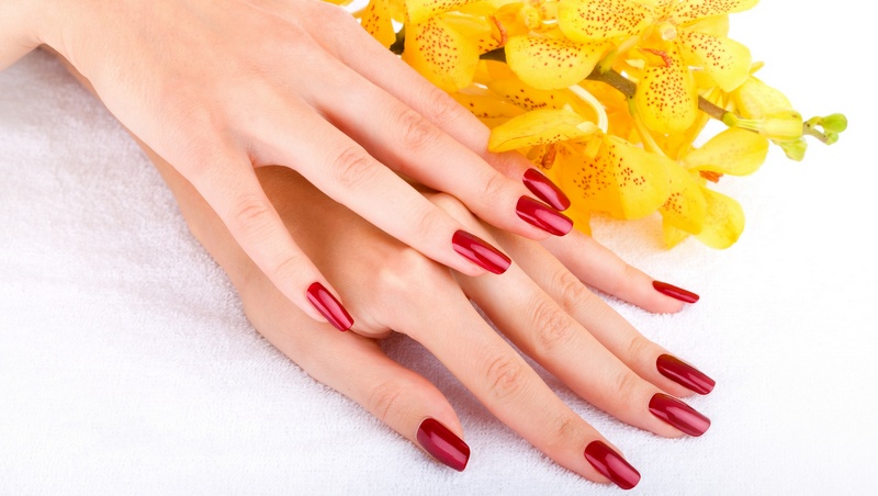 Hand with yellow orchid Woman hand with yellow orchid
